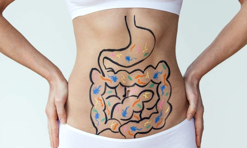 1 gut digestion stomach gettyimages 892955888 jpg jpeg