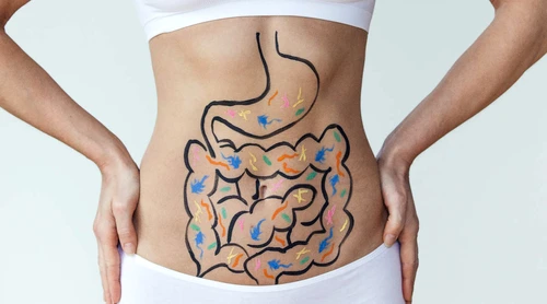1 gut digestion stomach gettyimages 892955888 jpg jpeg