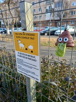 asociatie Arad jpg