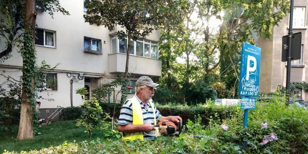 spaţii verzi sector 1 sursa primaria sectorului 1