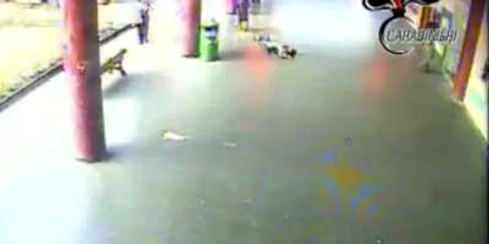 Românca a stat mai multe minute pe jos până ca cineva să intervină