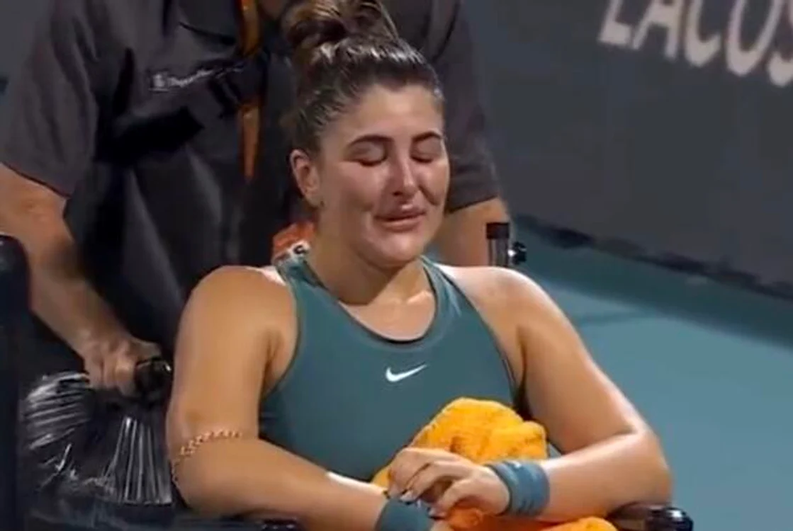 Andreescu jpg