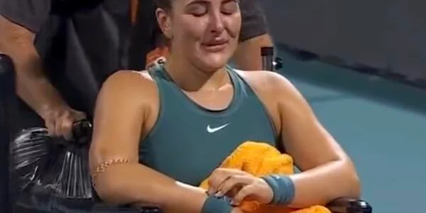 Andreescu jpg