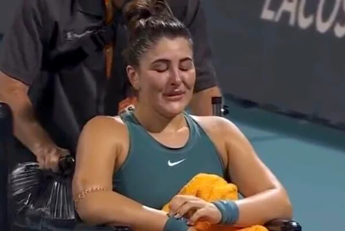 Andreescu jpg