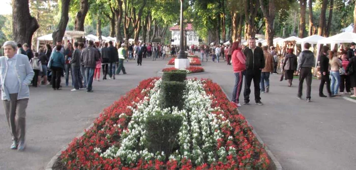 Sute de vasluieni au vizitat standurile meşterilor în prima zi FOTO:adevarul