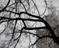 varsovia foto lucian muntean 36 JPG