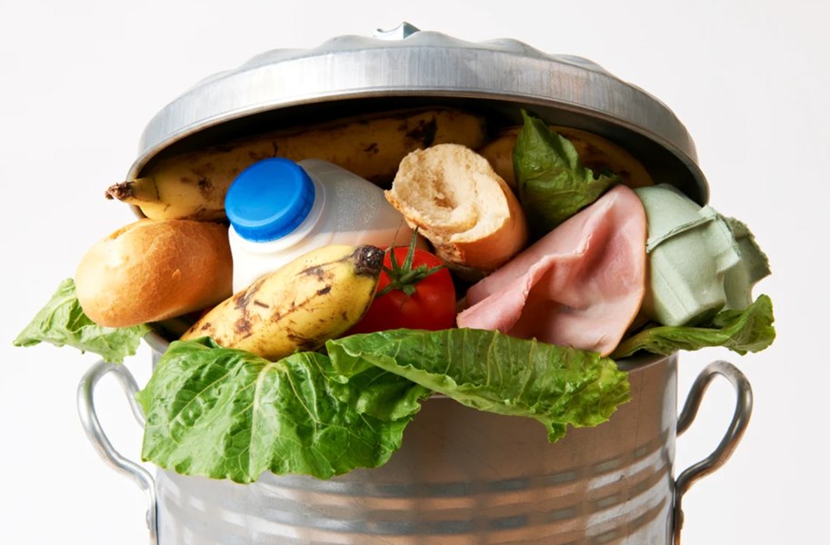 Cum combat risipa alimentară studenții români la „Științele Vieții”. Resturi alimentare transformate în ingrediente
