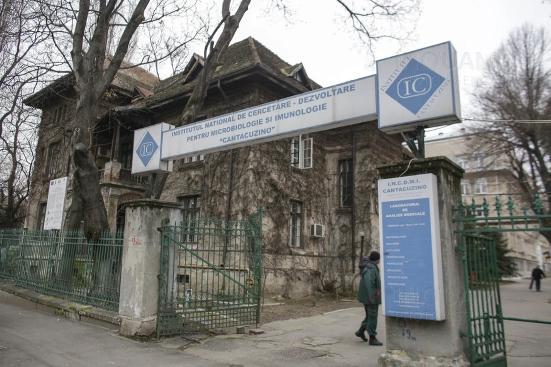 MApN va asigura transportul dozelor de vaccin cu mijloace terestre şi aeriene, de la sosirea în ţară a acestora către centrele regionale de depozitare Foto: Inquam (Arhiva)