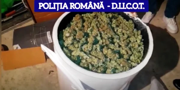 droguri