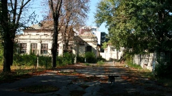 Clădiri de lux în Kiseleff, în locul spațiului verde şi a celor de patrimoniu Vezi ce proiect de amploare se va demara în centrul Capitalei! jpeg