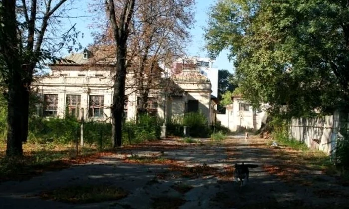 Clădiri de lux în Kiseleff, în locul spațiului verde şi a celor de patrimoniu  Vezi ce proiect de amploare se va demara în centrul Capitalei! jpeg