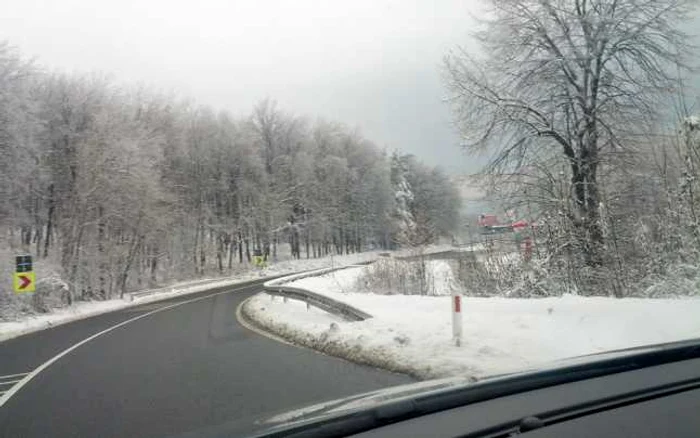 Copacii sunt încărcaţi de zăpadă la ieşirea din oraşul Iaşi FOTO Facebook/ Nicuşor Păduraru