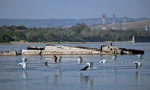 Nave naziste in Dunare scoase la suprafata din cauza secetei  FOTO AFP (3) jpg