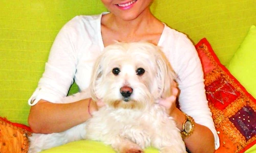 1 47242 original jpg jpeg