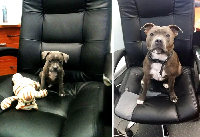 Alex s-a relaxat  la masaj