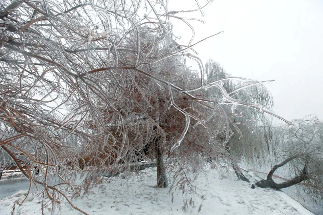 Nu, aceasta nu este o scenă din  filmul “Frozen – Regatul de Gheaţă”