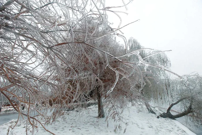 Nu, aceasta nu este o scenă din  filmul “Frozen – Regatul de Gheaţă”