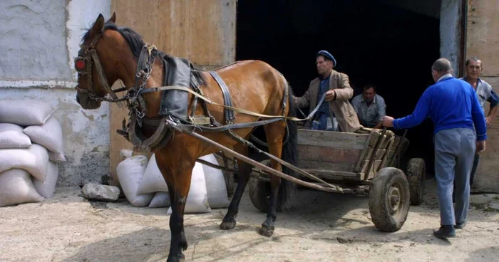 Deocamdată, nu este clar dacă şi proprietarii de mori vor plăti un impozit agricol unic