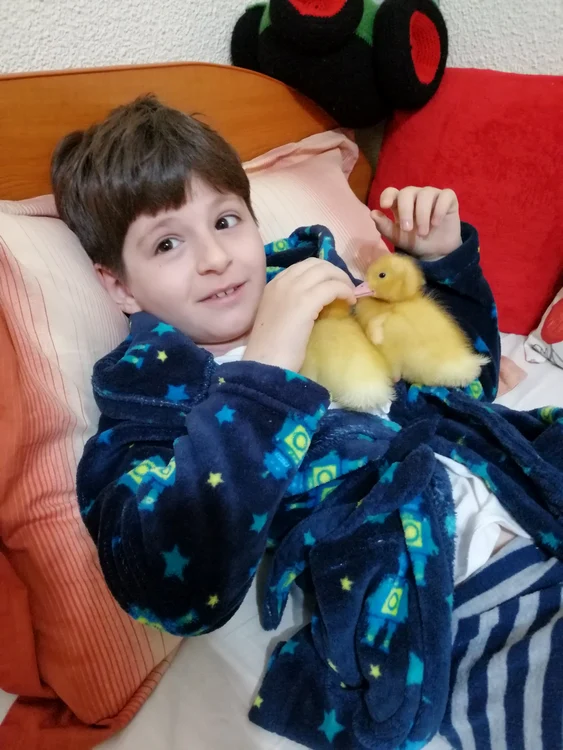 RMN-ul din data de 9 mai a fost îmbucurător. Din păcate, situația s-a schimbat în rău