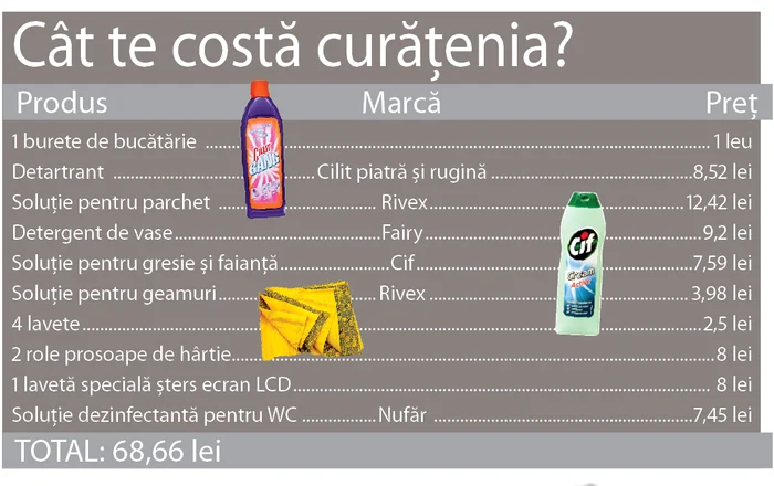 Cât te costă curăţenia?