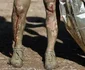 Cursa cu obstacole în noroi „Wild Sau Dirt Run” din Austria