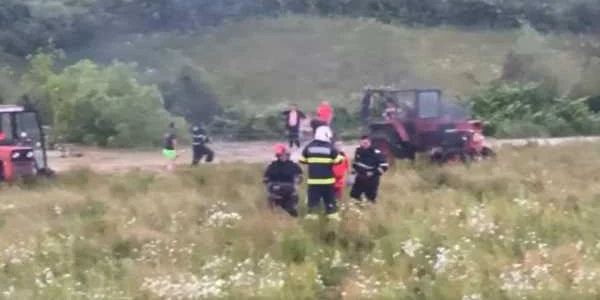 copil luat de ape 4 ani bihor