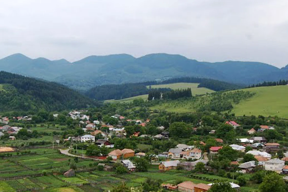 Soveja. Foto: admin