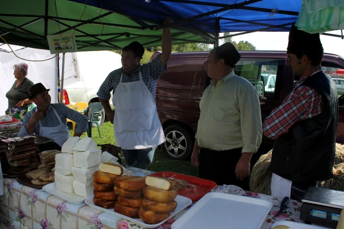 festivalul caşcavelei valea doftanei foto diana frîncu