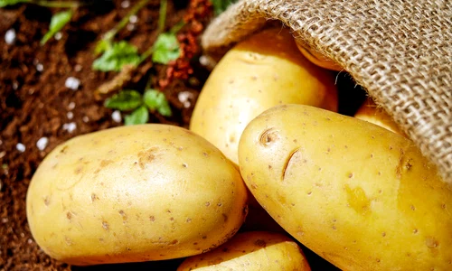 couleur potatoes 1585060 jpg