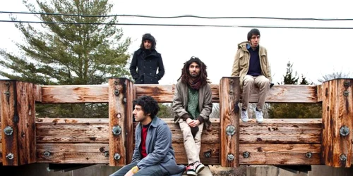 the yellow dogs foto facebook