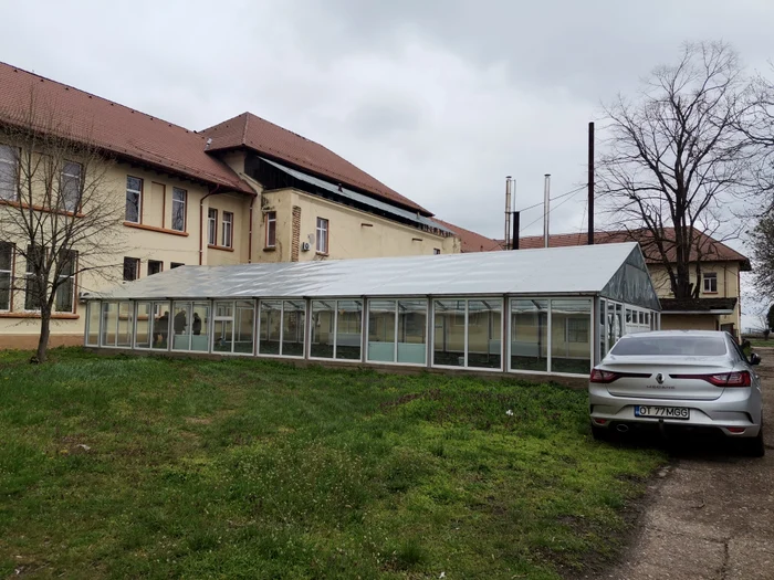 Noua seră a fost construită cu doi ani în urmă FOTO: Alina Mitran