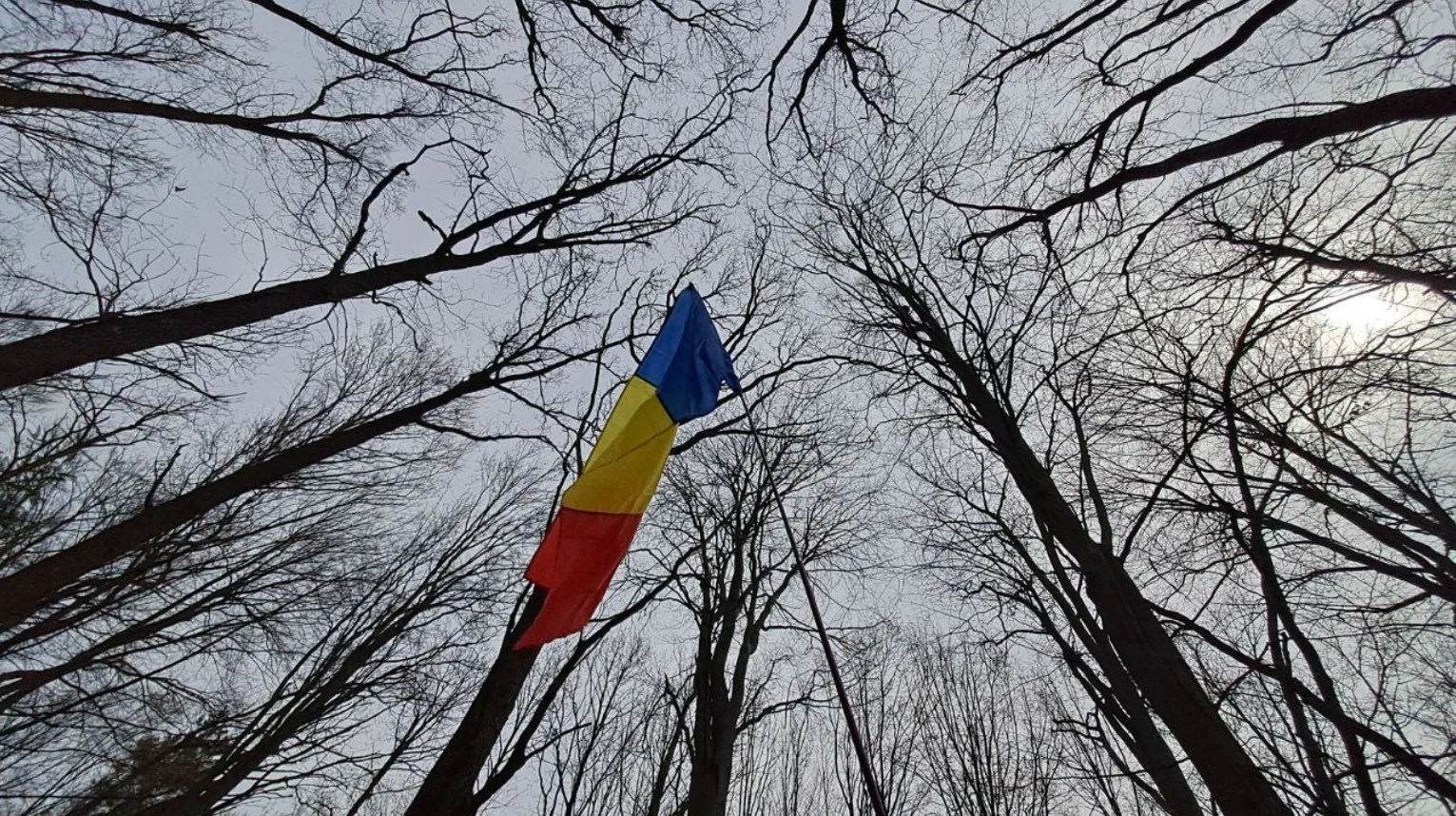 Masacrul acoperit de sovietici cu o pădure de molizi. Istoric: „Frica a intrat în oasele oamenilor până la începutul anilor ’90“