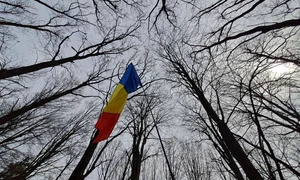 485767679 1208395454544210 3923200804050418415 n jpg