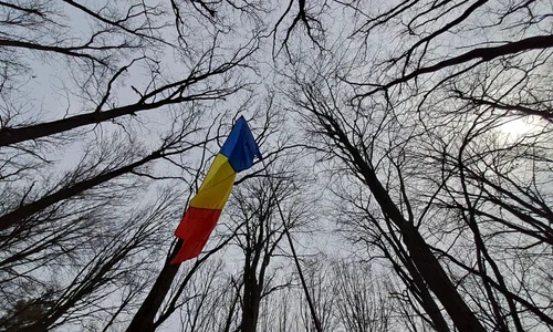 485767679 1208395454544210 3923200804050418415 n jpg