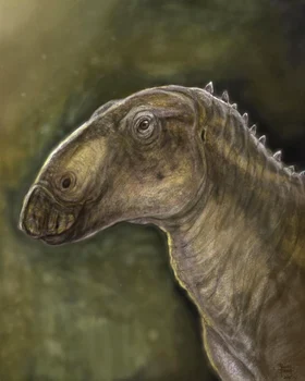 Kryptohadros kallaiae, un nou dinozaur descoperit în Țara Hațegului (© Geoparcul Internațional UNESCO Țara Hațegului)