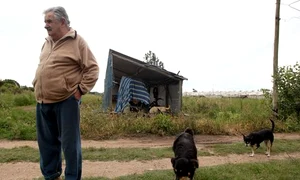 CLIIMA20121115 0003 1 jpeg