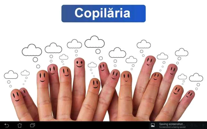 Ministrul
Educaţiei a anunţat că până la toamnă va fi pusă la punct platforma dedicată
manualelor digitale FOTO: Arhiva Adevărul