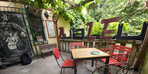 Terasa Scart FOTO Aualeu jpg