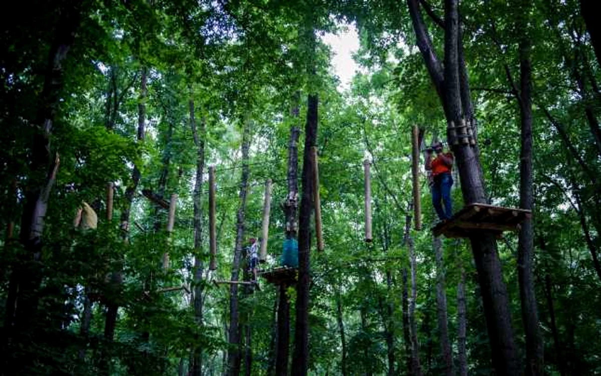 Parcuri de aventură în România