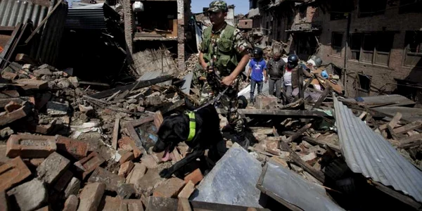 O echipă de salvatori cu un câine de urmă trec printre dărâmăturile provocate de cutremur în  Bhaktapur la marginea oraşului  Katmandu Nepal FOTO AP