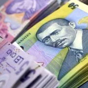 Evaziune fiscală de peste un milion de lei