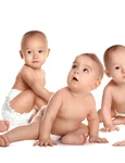 bebelusi shutterstock 1705497661 jpg