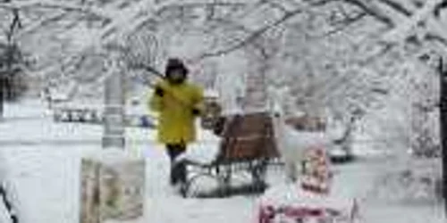 Băncile şi ornamentele de iarnă au dat mari bătăi de cap angajaţilor ADPP