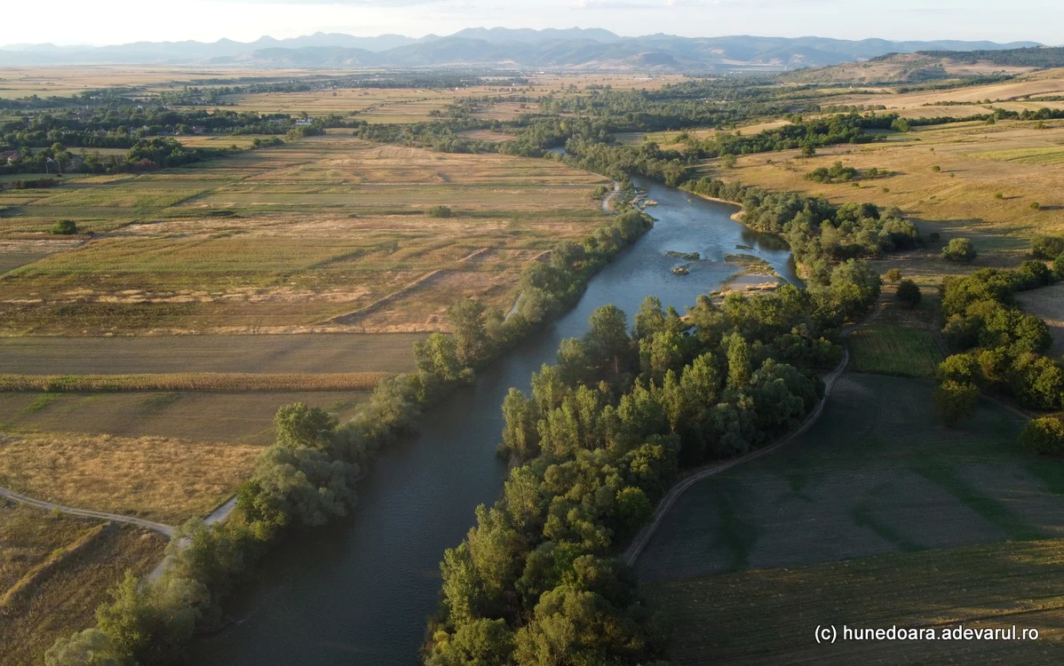 Râul Strei, pe cursul inferior. Foto: Daniel Guță. ADEVĂRUL