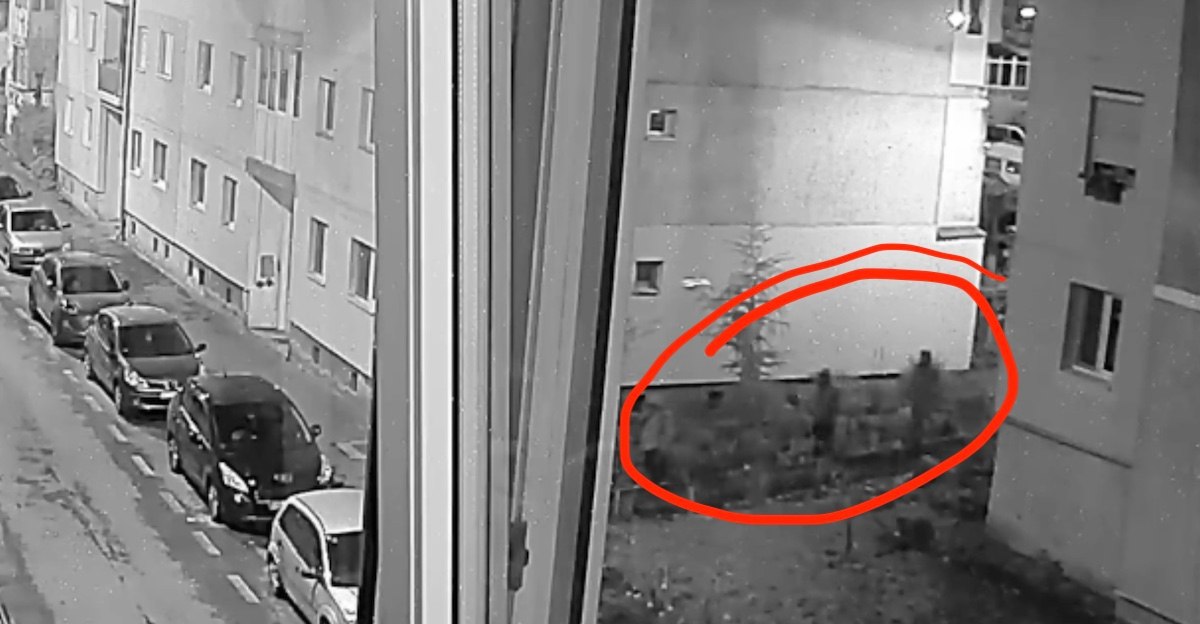 Dezvăluiri șocante despre crima de la Sibiu. Adrian Kreiner a fost legat și torturat: Ce strigau criminalii în engleză