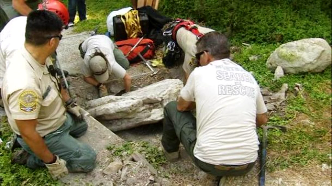 Niște copii le-au stricat planurile unor hoțiFoto: framework.latimes.com