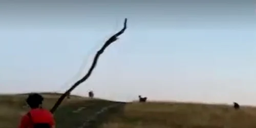 cluj turist