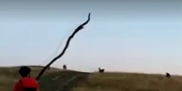 cluj turist 