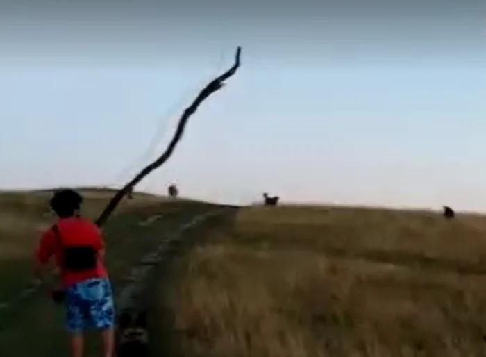 Turiştii sunt puşi în pericol de câinii care apără stânile. FOTO: captura Casper Horst