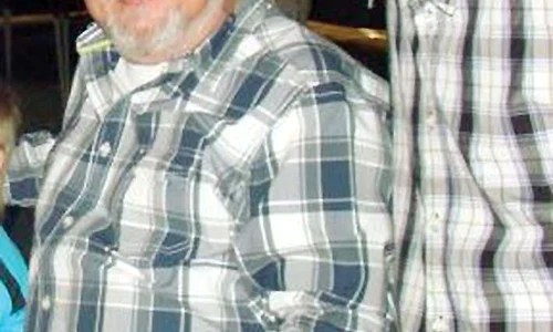 bubu si misu cernea jpeg